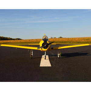 E-flite Carbon-Z T-28 Trojan 2.0m BNF Basic Electric Airplane (1980mm) w/AS3X & SAFE E-flite Carbon-Z T-28 Trojan 2.0m BNF Basic Electric Airplane (1980mm) w/AS3X & SAFE